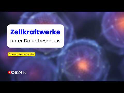 Thumbnail of the QS24 interview with Dr Alexander Hierl on mitochondrial protection systems